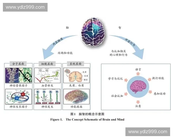 基于体育传感器技术的运动表现分析与健康监测应用研究