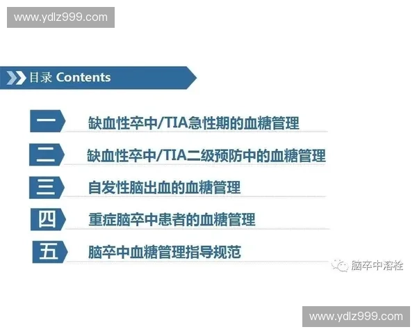 裁判手势解读与比赛规则执行的全面指南与实用技巧 裁判手势解读与比赛规则执行的全面指南与实用技巧